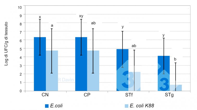 Figura&nbsp;1. E. coli totale e&nbsp;E. coli K88 specifico adeso alla mucosa dell&#39;ileo di suinetti svezzati dopo una infezione sperimentale&nbsp;con&nbsp;E. coli K88&nbsp;(adattato da&nbsp;Molist et al. 2011). x,y Diversi apici su una barra indicano una differenza significativa tra i trattamenti dietetici.(P &lt; 0.05).&nbsp;
